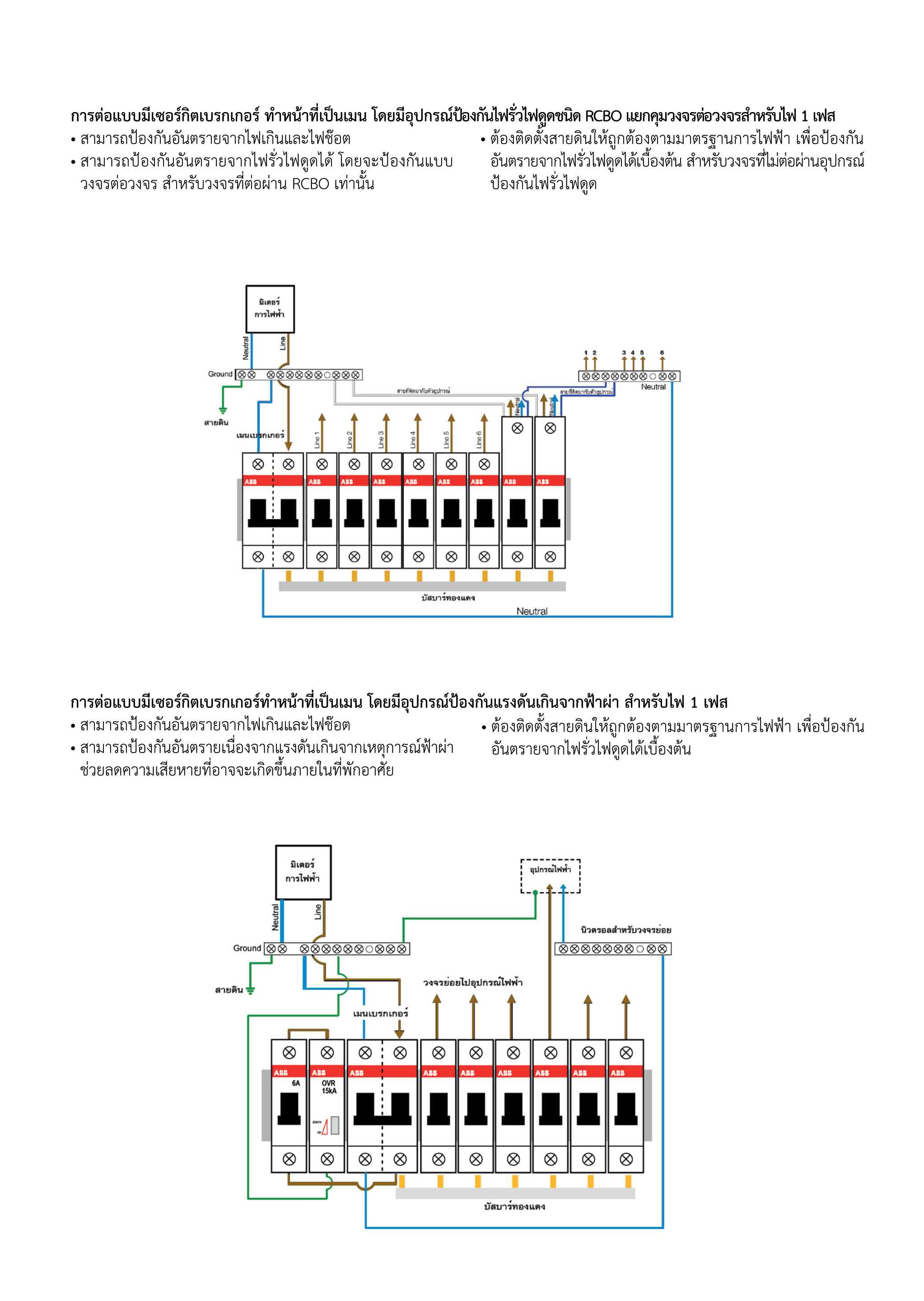 เซอร์กิตเบรกเกอร์ลูกย่อย 50 แอมป์ 2 โพล 6KA ABB MCB SH202-C50 # 2CDS212001R0504